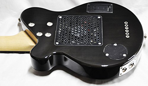 Amazon.co.jp: PIGNOSE PGG-200FM SBK☆初心者満足お得セット